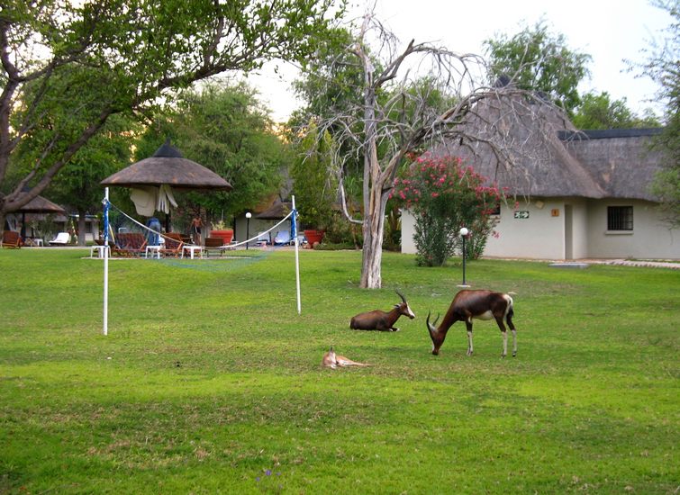 734 Namibia Okt 2006 .JPG
